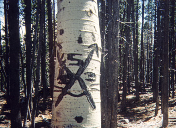 Treasure Ahead Symbol