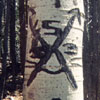 Treasure Ahead Symbol