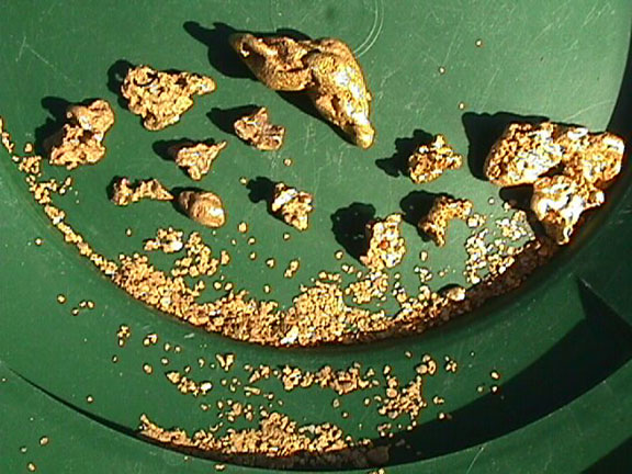 Gold Nuggets